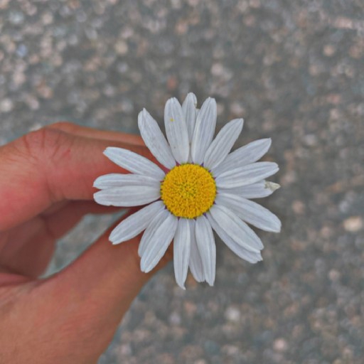 action icon