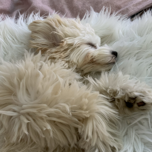 action icon