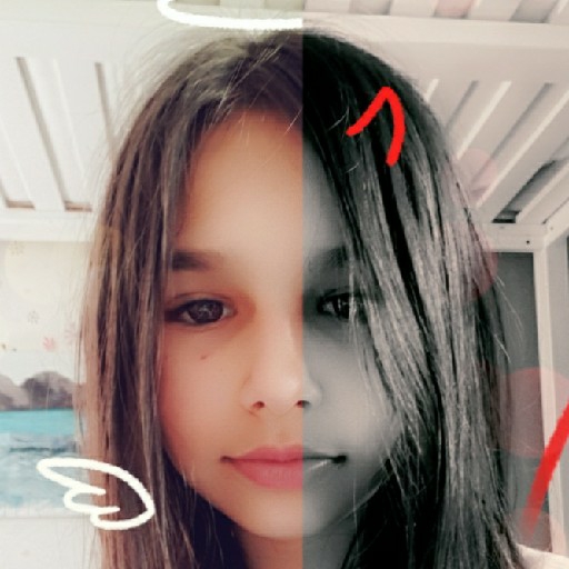 action icon