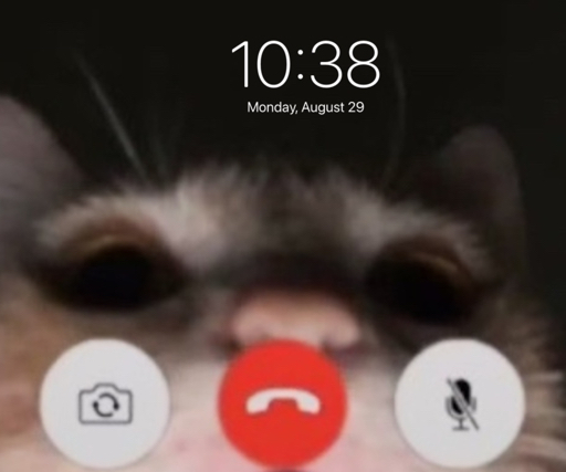 action icon