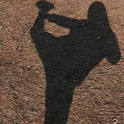 action icon