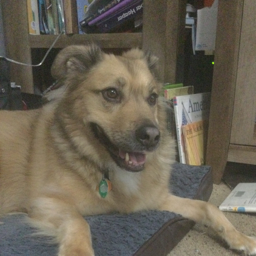 action icon