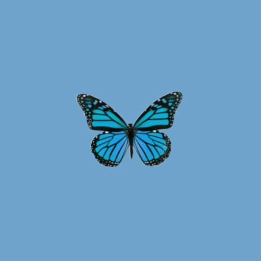 action icon