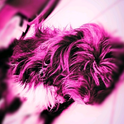 action icon