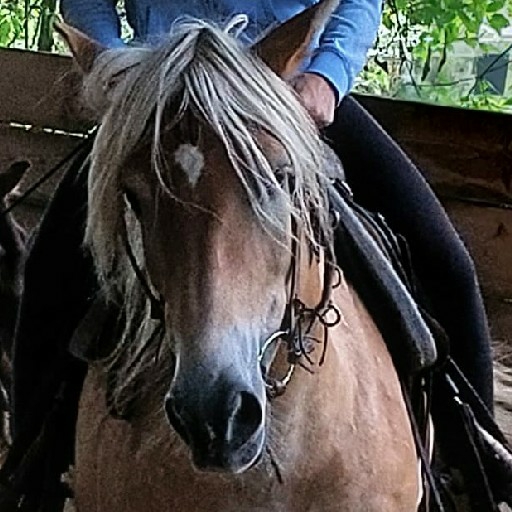 action icon