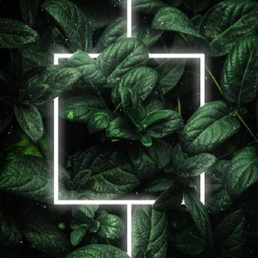 action icon