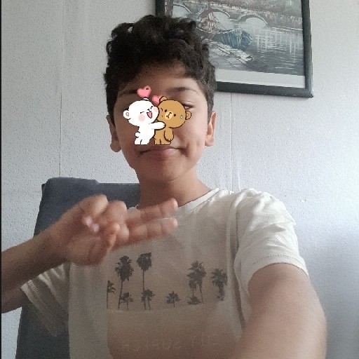 action icon