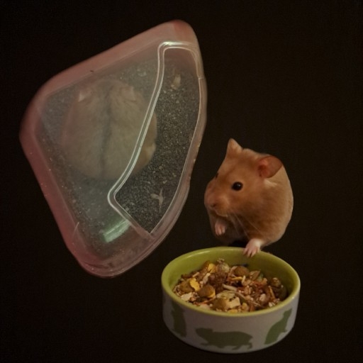avatar image