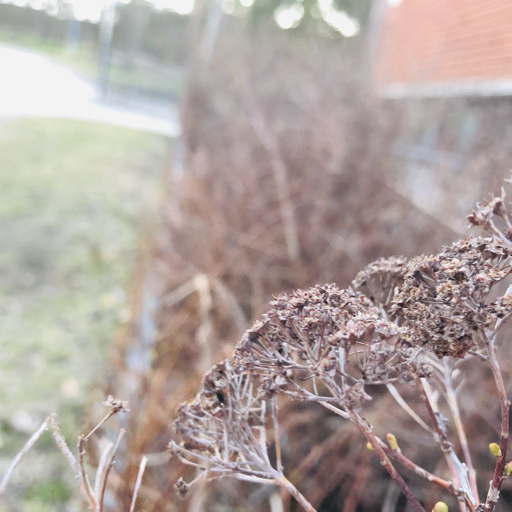 action icon