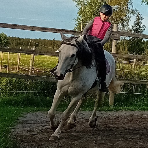 action icon