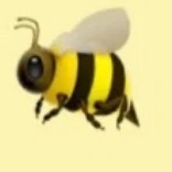 action icon