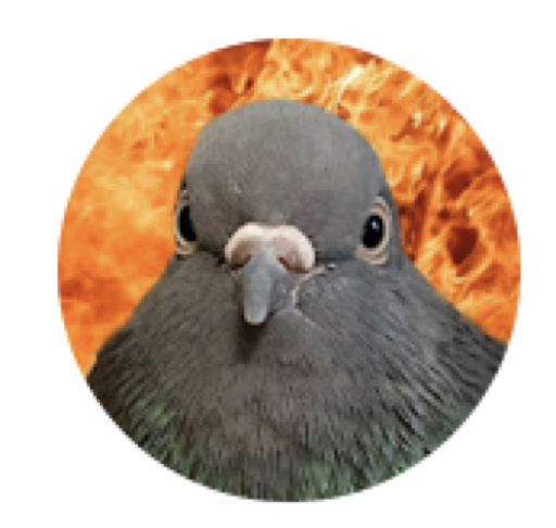 action icon