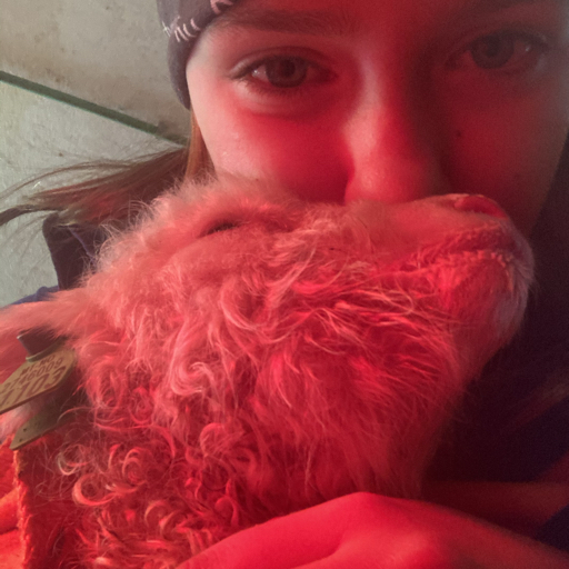 action icon