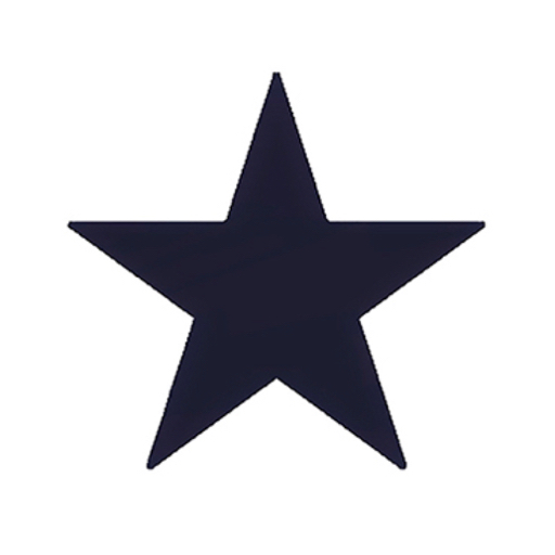 action icon