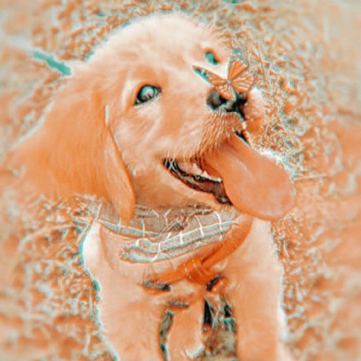 action icon