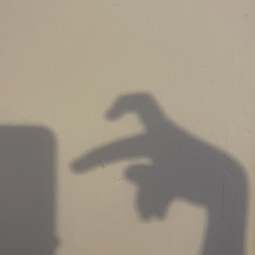 action icon