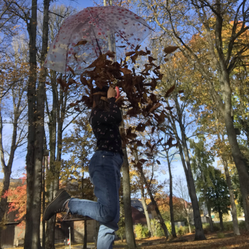 action icon