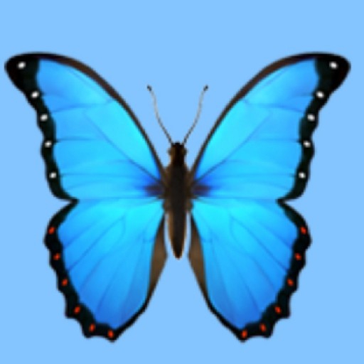 action icon