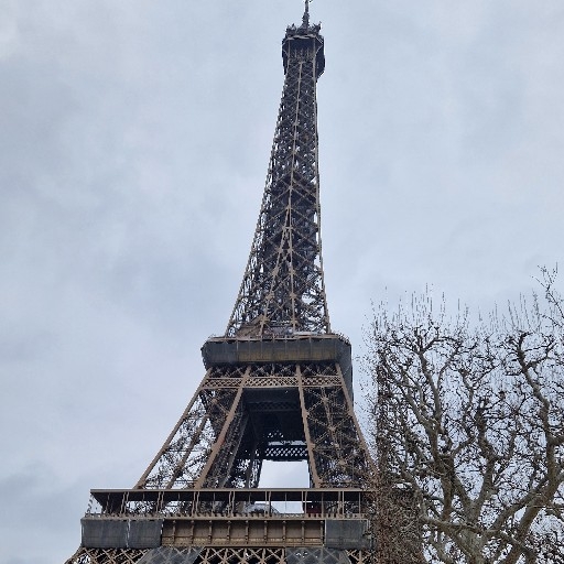 action icon